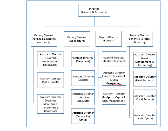 Finance organogram